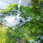 美味しい水が飲みたい